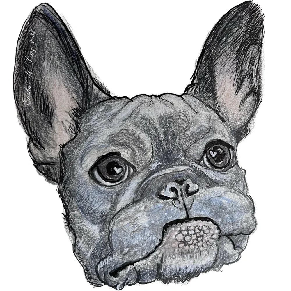 FRENCHIE Note Cards & Matching Vinyl Stickers (Series 1.1)
